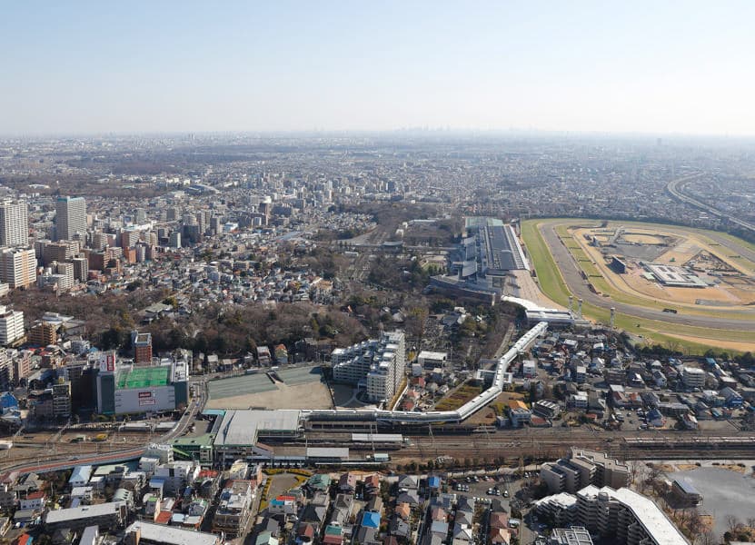 航空写真